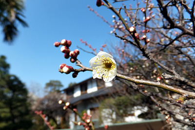 春。お客様を住宅案内