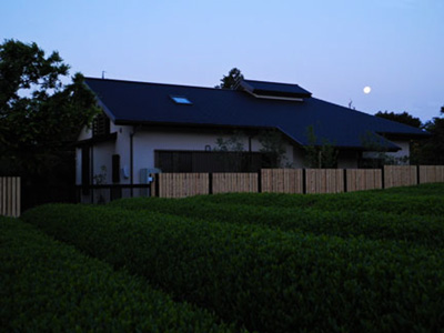 今夜は八十八夜