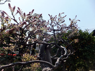 20140408-03